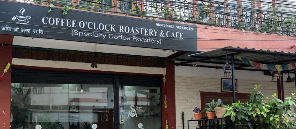 DSC00081-1-e1714724961550